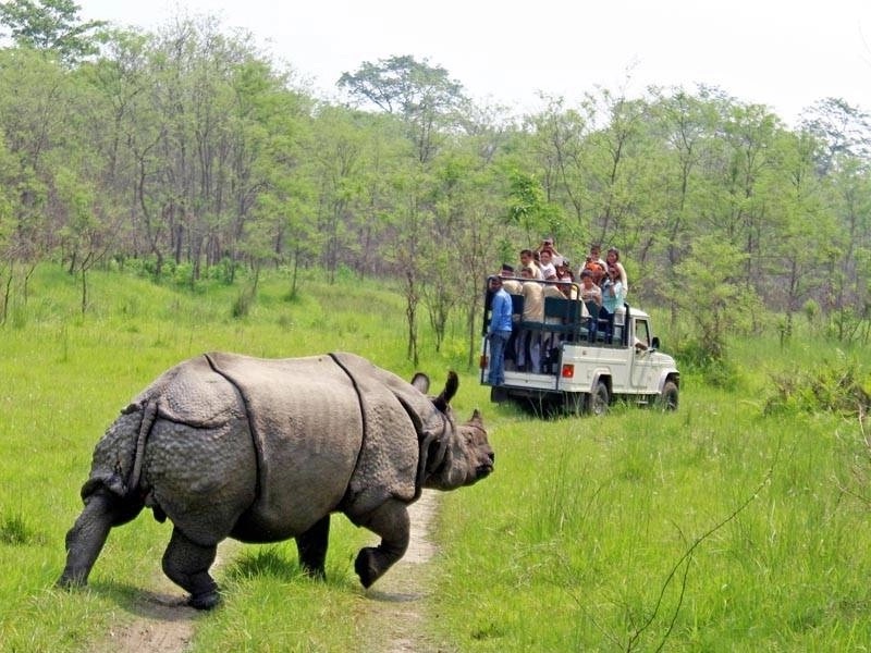 दसैँमा निकुञ्ज घुम्ने पर्यटक २० हजार बढी