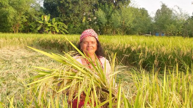 नेपालको पहिलो महिला-स्वामित्व rice mill — महिलाद्वारा महिलाका लागि विकास गरिएको व्यापार मोडेल
